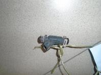 Форсунка инжекторная электрическая Chery Amulet (A15) 2003 - 2010