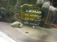 Стекло кузовное глухое правое Lexus LX III 2007 - н.в.
