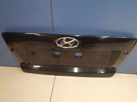 Накладка двери багажника Hyundai Terracan 2001 - 2007