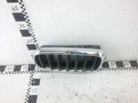 Решетка радиатора BMW X5 III [F15] 2013 - 2018