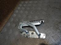 Петля капота Ford Fiesta VI [Mk6] 2008 - 2019