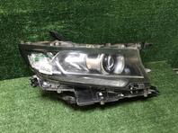 Фара правая Toyota Land Cruiser Prado [150] 2009 - н.в.