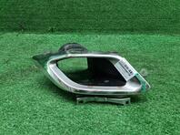 Насадка на глушитель Lexus RX IV 2015 - 2024