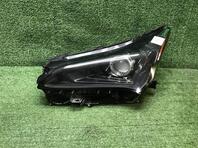 Фара левая Lexus NX I 2014 - 2021