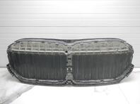 Решетка радиатора BMW 7-Series [G11, G12] 2015 - 2022