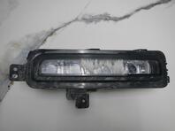 Фара противотуманная правая Tank 500 I 2021 - н.в.