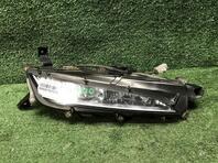 Фара противотуманная правая Lexus RX IV 2015 - 2024