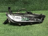 Фара противотуманная правая Lexus RX IV 2015 - 2024