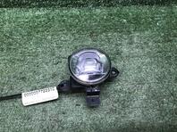 Фара противотуманная правая Haval F7 I 2019 - 2024