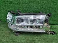 Фара правая Toyota Land Cruiser [200] 2007 - 2021