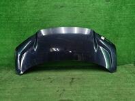 Капот Zeekr 009 I 2022- н.в.