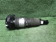 Амортизатор передний левый Zeekr 001 I 2021 - н.в.