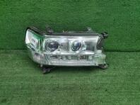 Фара правая Toyota Land Cruiser [200] 2007 - 2021