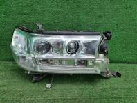 Фара правая Toyota Land Cruiser [200] 2007 - 2021