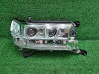 Фара правая Toyota Land Cruiser [200] 2007 - 2021