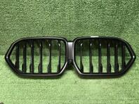 Решетка радиатора BMW X6 III [G06] 2019 - н.в.