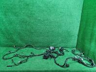 Проводка (коса) Tank 500 I 2021 - н.в.