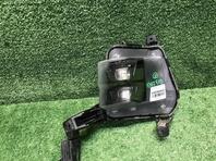 Фара противотуманная левая Kia K5 III 2020 - н.в.