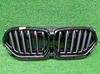 Решетка радиатора BMW X6 III [G06] 2019 - н.в.