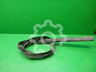 Уплотнитель (наружный) Nissan Bluebird Sylphy I [G10] 2000 - 2005