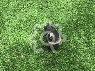 Датчик парковки Volkswagen Tiguan I 2007 - 2016