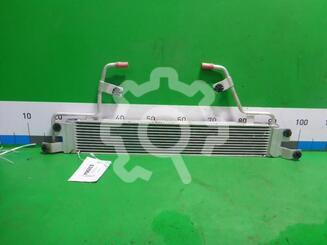 Радиатор масляный Tank 300 I 2021 - н.в.