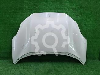 Капот Zeekr 001 I 2021 - н.в.