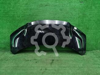 Капот Zeekr 009 I 2022- н.в.