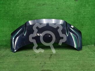 Капот Zeekr 009 I 2022- н.в.