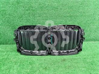 Решетка радиатора BMW X7 [G07] 2018 - н.в.