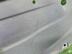 Кожух замка капота Toyota Land Cruiser Prado [150] 2009 - н.в.