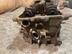 Головка блока Nissan Teana I [J31] 2003 - 2008