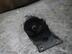 Опора КПП Nissan Almera II [N16] 2000 - 2006