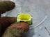 Датчик AIR BAG Subaru Outback IV 2009 - 2014