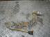 Рычаг передний левый Ford Fiesta V [Mk5] 2002 - 2008
