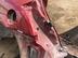 Крыло заднее левое Nissan Murano I [Z50] 2002 - 2008
