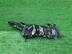 Фара левая Land Rover Range Rover Sport II 2013 - 2022