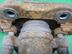 Суппорт передний правый Ford Focus II 2005 - 2011