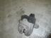 Замок багажника Ford Focus II 2005 - 2011