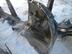 Крыло заднее правое Opel Corsa [D] 2006 - 2014