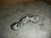 Петля двери передней Ford Focus II 2005 - 2011