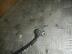Датчик ABS Hyundai Getz 2002 - 2011
