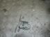 Петля двери передней Dodge Caliber 2006 - 2011